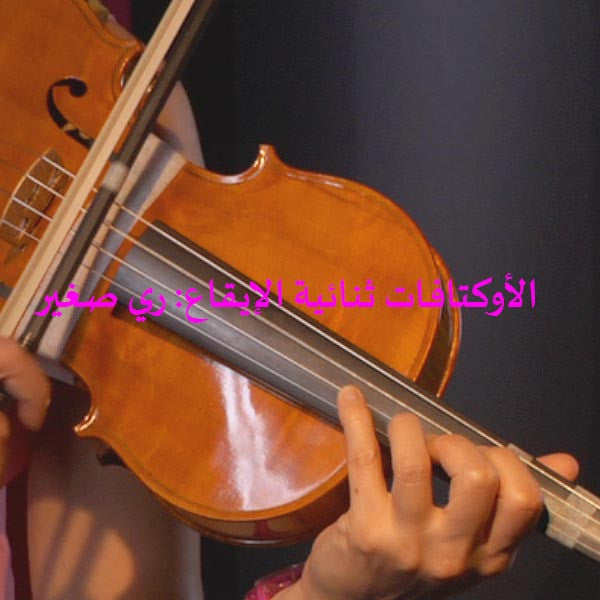 الدرس 153: الأوكتافات ثنائية الإيقاع: ري صغير - violino online, play violin online,   - tocar violin online, уроки игры на скрипке, Metodo Mirkovic - cours de violon en ligne, geige online lernen