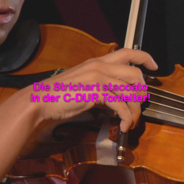 Folge 191: Die Strichart staccato in der C-DUR Tonleiter! - violino online, play violin online,   - tocar violin online, уроки игры на скрипке, Metodo Mirkovic - cours de violon en ligne, geige online lernen