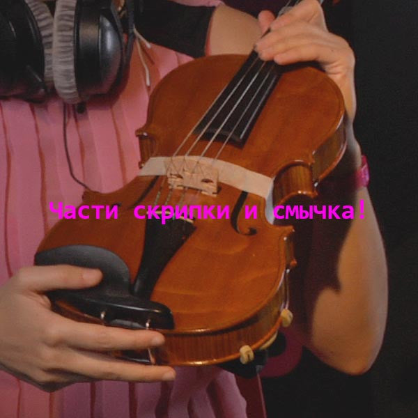 Серия 200 : Части скрипки и смычка! - violino online, play violin online,   - tocar violin online, уроки игры на скрипке, Metodo Mirkovic - cours de violon en ligne, geige online lernen
