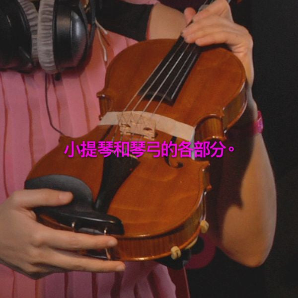 第 200 课 : 小提琴和琴弓的各部分。 - violino online, play violin online,   - tocar violin online, уроки игры на скрипке, Metodo Mirkovic - cours de violon en ligne, geige online lernen